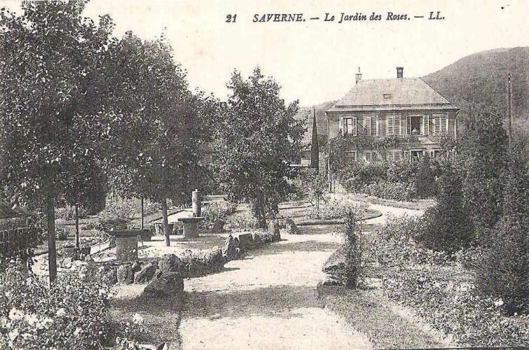 67 - SAVERNE - LE JARDIN DES ROSES
