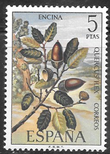 Espagne - YT  1742  **  - Quercus ilex (1972) 