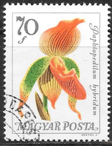 Hongrie - YT  1769  obl  - Orchidée (1965) 