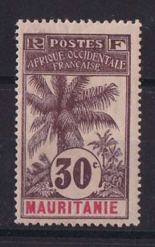 MAURITANIE   Y/T   n° 8    neuf *   1906