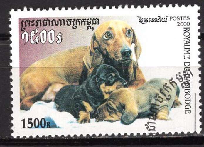 CAMBODGE 2000 LES CHIENS LE TECKEL  OBLITERE