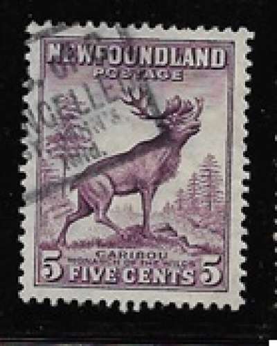 Terre Neuve oblitéré YT 175