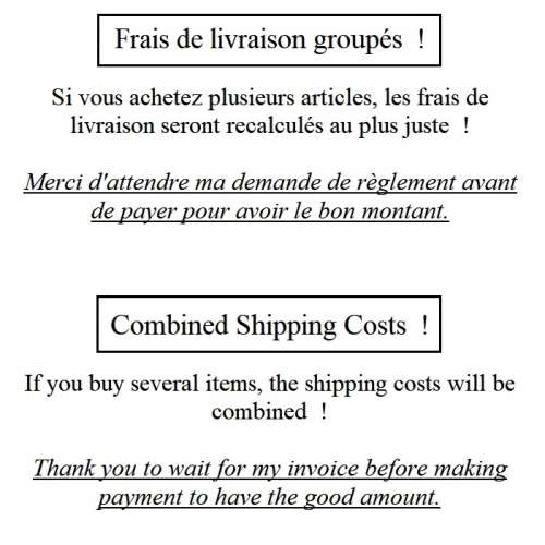 Pin's Pins Chat Noir dans une plante (Réf 3)