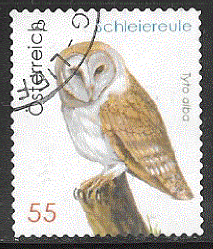 Autriche - YT  2628  obl  - Chouette effraie (2009) 