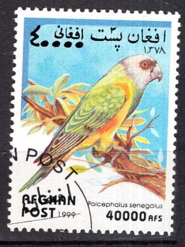 AFGHANISTAN 1999 OISEAU LE PERROQUET  OBLITERE