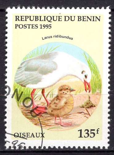 BENIN 1995 OISEAU MOUETTE RIEUSE  NOURRISSANT DES PETITS  OBLITERE