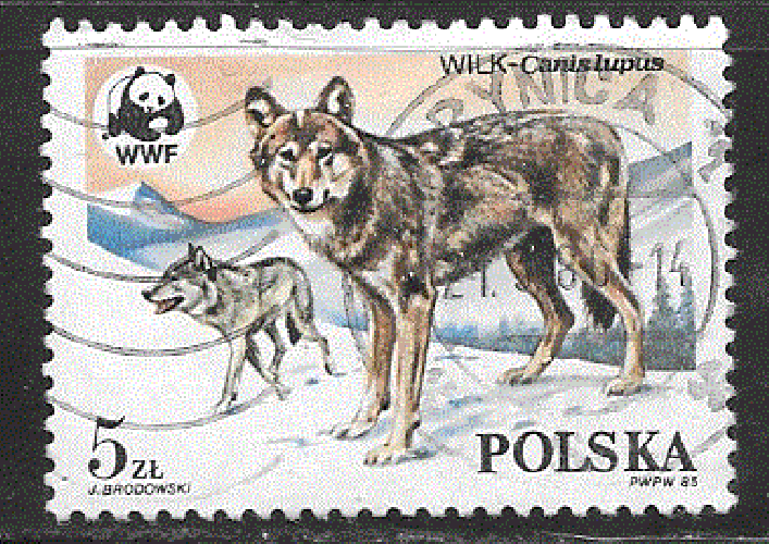 Pologne  - YT  2787  obl  - Le loup (1985) 