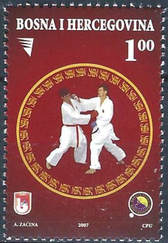 Bosnie-Herzégovine - 2007 - Y & T n° 573 - MNH (2