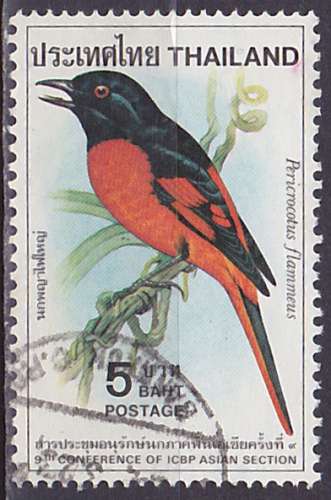 Timbre oblitéré n° 913(Yvert) Thaïlande 1980 - Oiseau, Grand Minivet