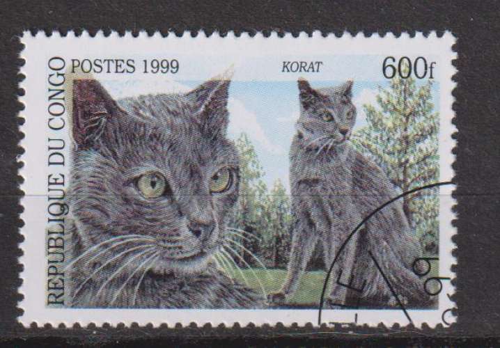 CONGO 1999 Y. T. N° Chat Korat Oblitéré
