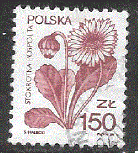 Pologne  - YT  3041  obl  - Pâquerette (1989) 