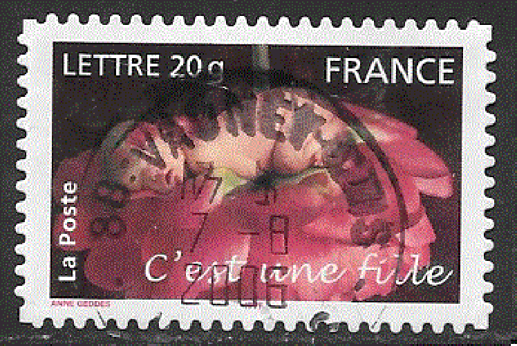 France  - YT  adhésif  54  obl  - Naissances (2005) 