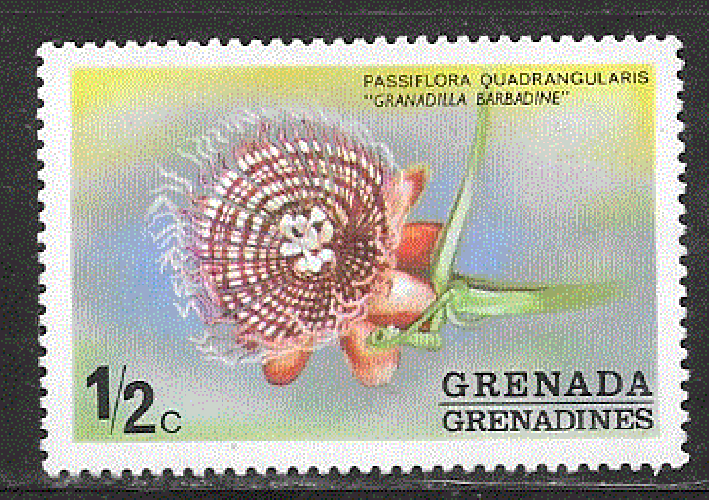 Grenade - YT  577  **  - Passiflore (1975)