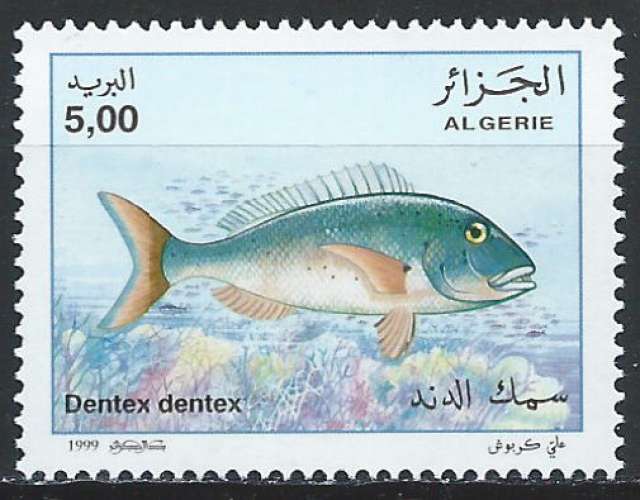Algérie - 1999 - Y & T n° 1207 - MNH