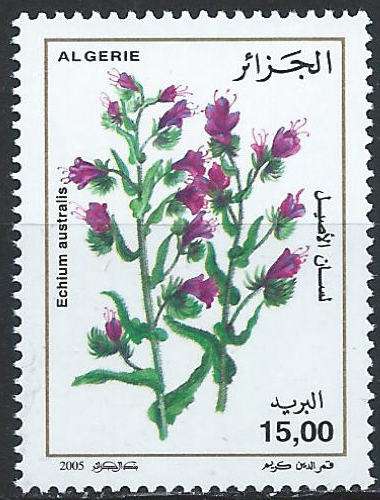 Algérie - 2005 - Y & T n° 1393 - MNH