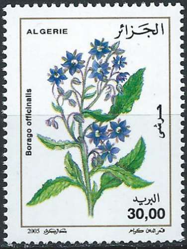 Algérie - 2005 - Y & T n° 1394 - MNH