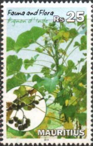 Flore : pignon d'Inde (2014) - YT 1180 °