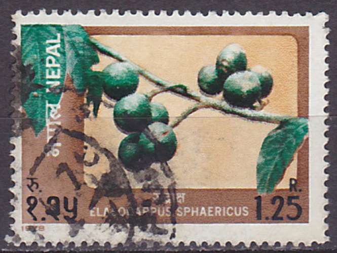 Timbre oblitéré n° 341(Yvert) Népal 1978 - Fruits