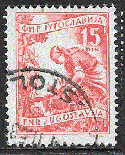 Yougoslavie - YT  592  obl  - Paysanne (1952)