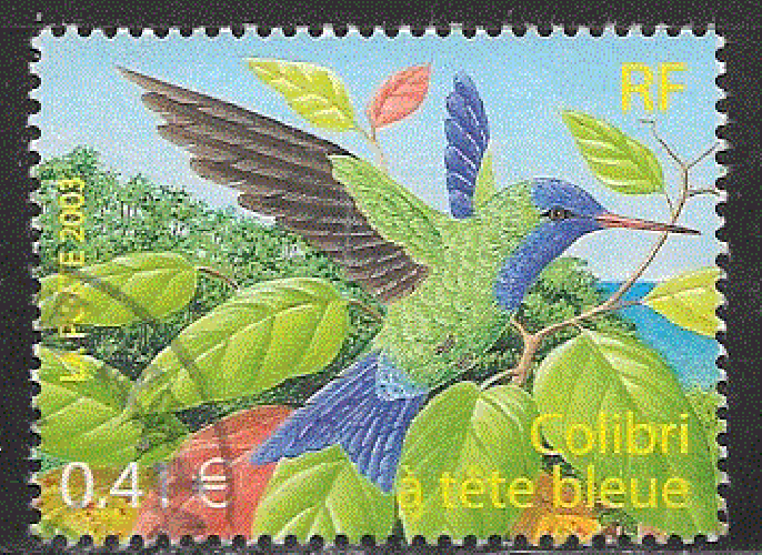 France - YT  3548  obl  - Colibri à tête bleue (2003)