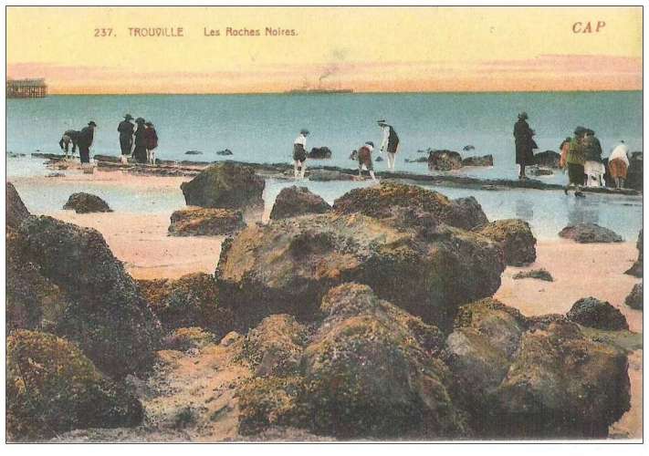 14 - Trouville - les roches noires