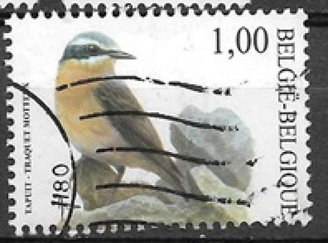 Belgique oblitéré oiseaux de Buzin YT 3132
