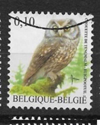 Belgique oblitéré oiseaux de Buzin YT 3609