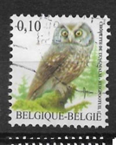 Belgique oblitéré oiseaux de Buzin YT 3609