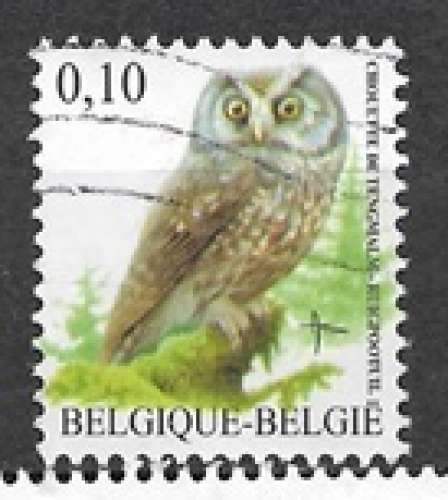 Belgique oblitéré oiseaux de Buzin YT 3609