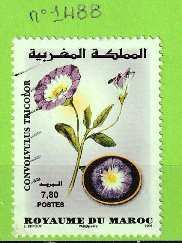 MAROC YT N°1488 OBLIT
