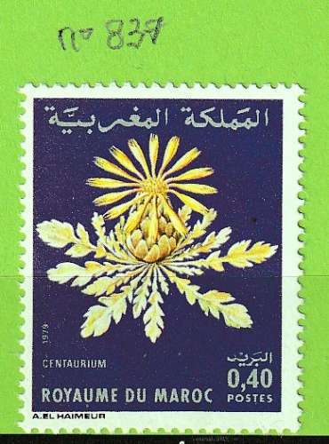 MAROC YT N°837 NEUF**