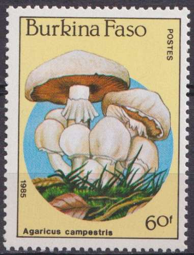 Burkina Faso 1985 Y&T 679 neuf ** - Champignons 
