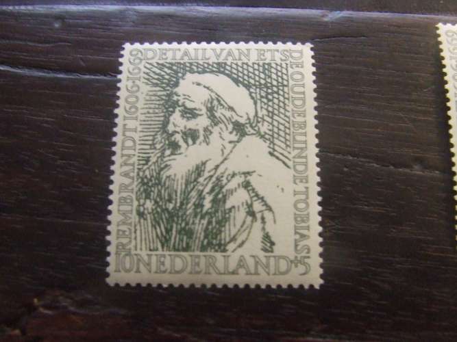 OLANDA 1956 BENEFICENZA 10+5 c NUOVO *