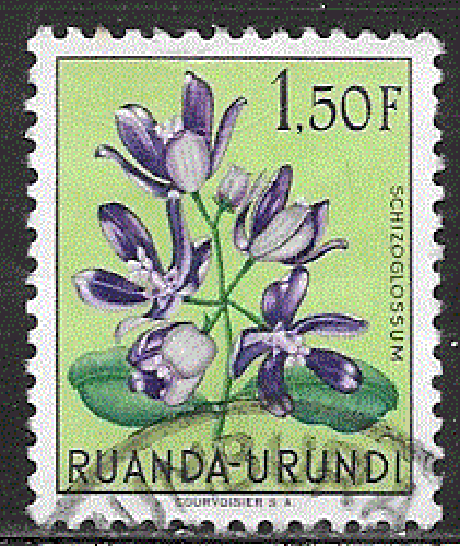 Ruanda-Urundi - YT  187   obl  - Fleurs (1953)