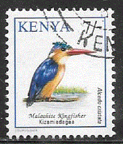 Kenya - YT  564   obl  - Martin pêcheur (1993)