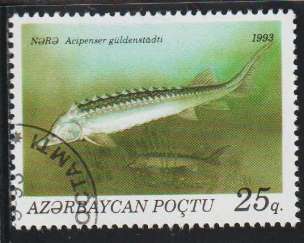AZERBAÏDJAN 1993 - Y&T N° 104