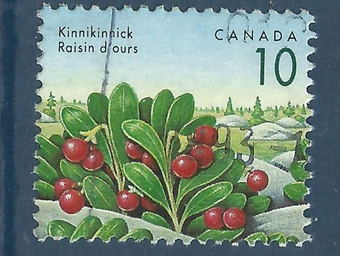 Canada - YT 1267 - baies - raisin d'ours