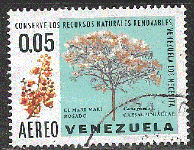 Vénézuela - YT  aérien 967  obl- Arbre (1969)