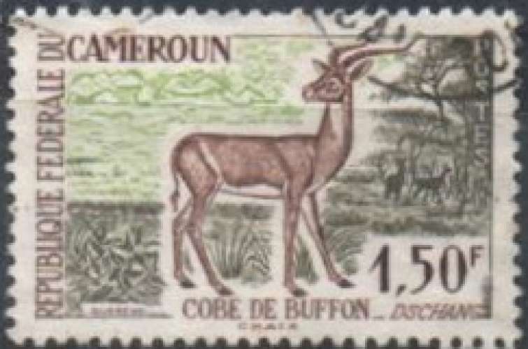 cobe de Buffon (1962) - YT 341 °