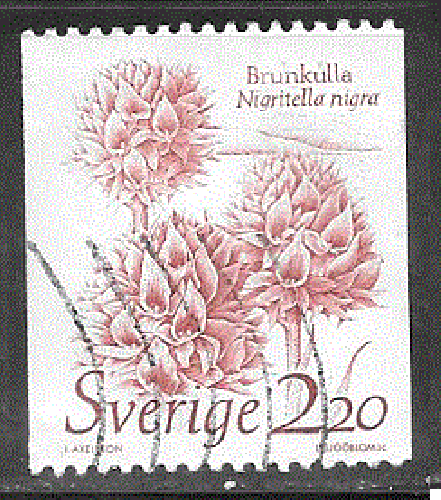 Suède - YT  1306  obl   - Orchidée vanille (1985)