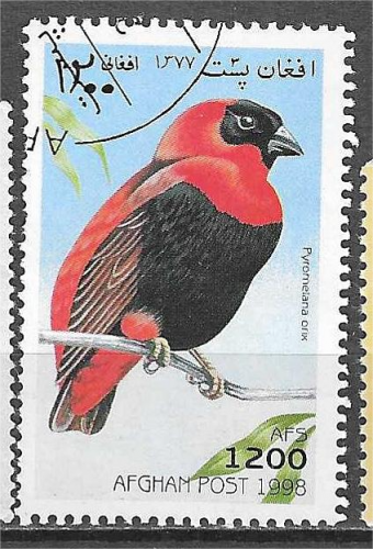 AFGHANISTAN timbre de 1998