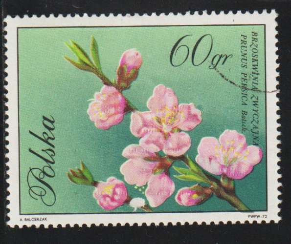 POLOGNE 1971 - Y&T N° 1982