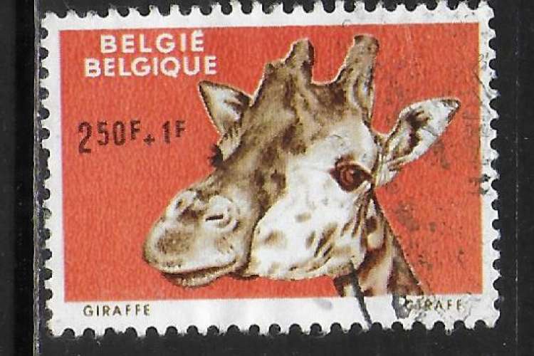 Belgique - Y&T n° 1185 - Oblitéré / Used - 1961