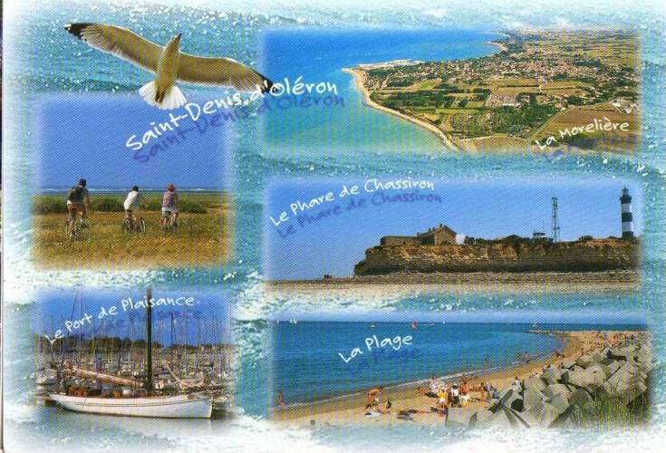 Ile d'Oléron (17), CPM, 5 vues typiques