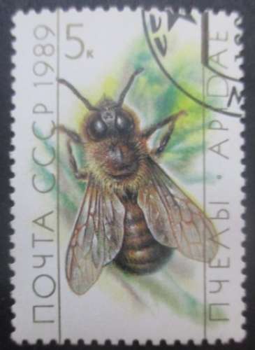 RUSSIE N°5627 Abeille oblitéré