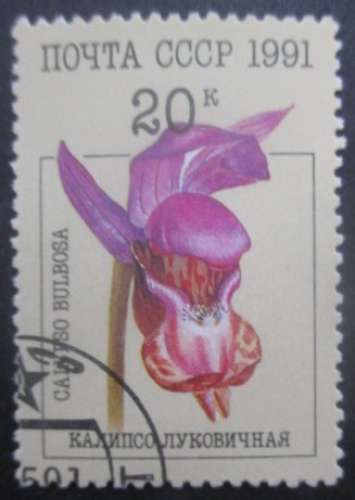 RUSSIE N°5854 Orchidées oblitéré