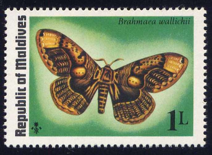 Timbre neuf ** n° 557(Yvert) Maldives 1975 - Papillon