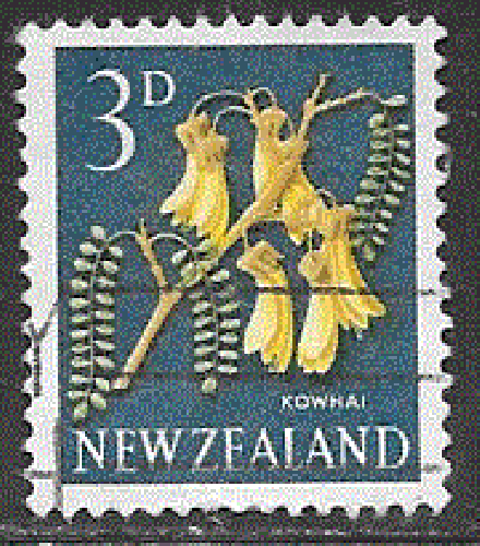 Nouvelle-Zélande - YT  387  obl - Kowhai (1960)