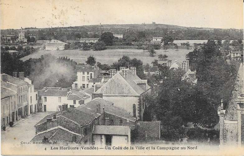 85 - croix de vie - la côte à marée basse