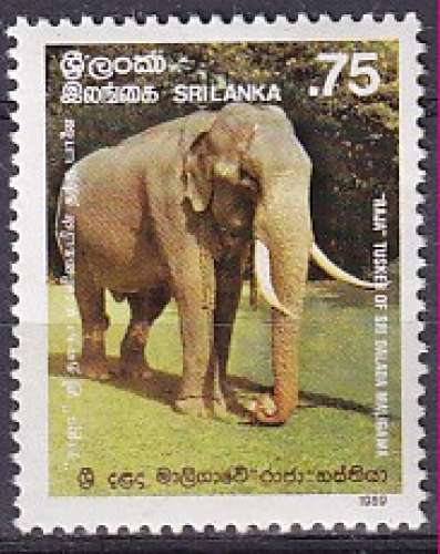 sri lanka ... n° 883  neuf** ... 1989